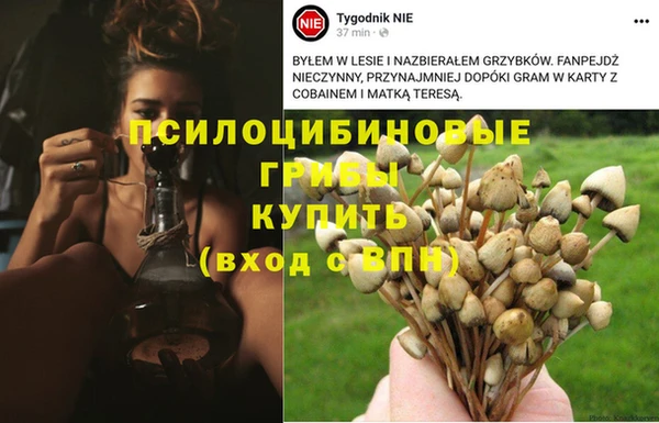 2c-b Остров