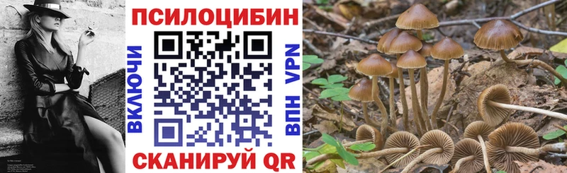 Псилоцибиновые грибы Psilocybine cubensis  маркетплейс официальный сайт  Партизанск 