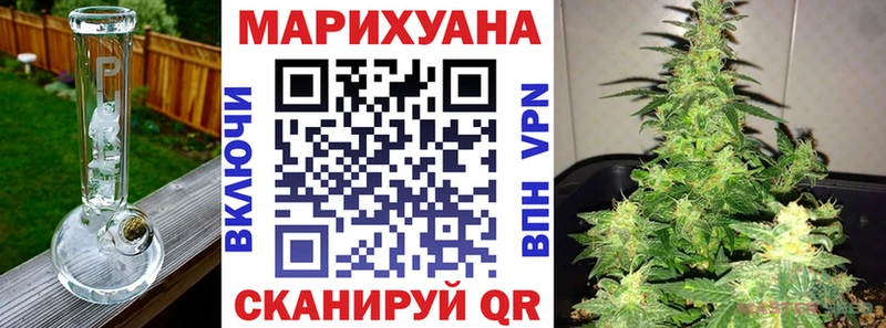 Шишки марихуана SATIVA & INDICA  где продают   Партизанск 